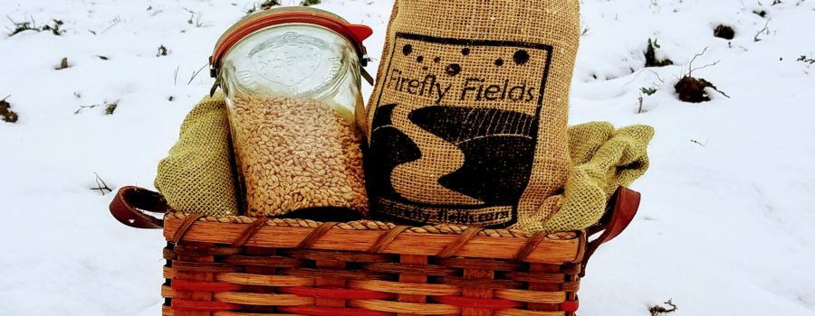 Organic Grains – A Holiday Treat for All