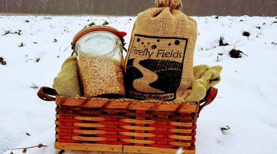 Organic Grains – A Holiday Treat for All