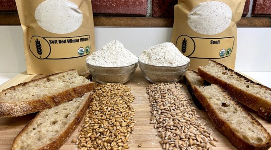 Baker’s Dozen Deal on Organic Flours