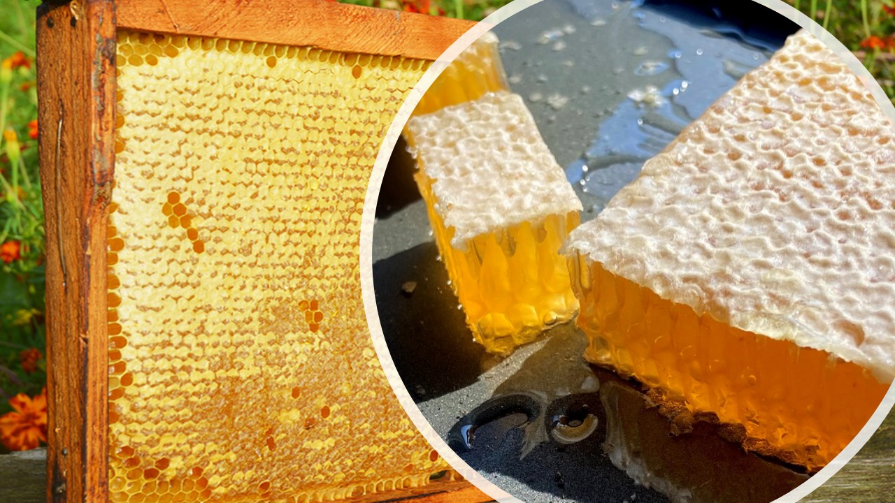 Can You Eat Honeycomb?
