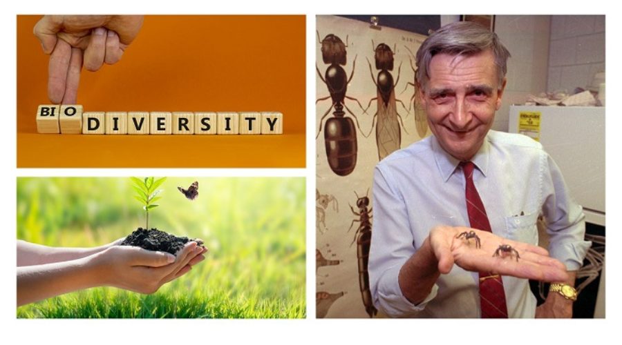 E.O. Wilson’s Imprint on Sustainable Ag