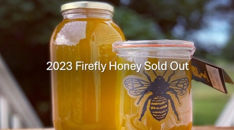 Firefly Honey Sold Out for Season (2023)