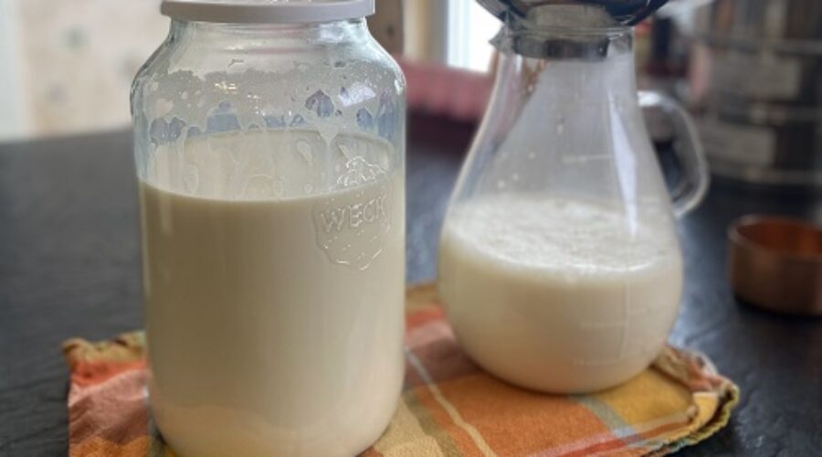 Homemade Organic Soy Milk